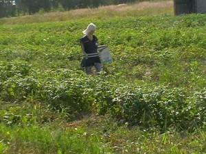 kar_27052010_1
