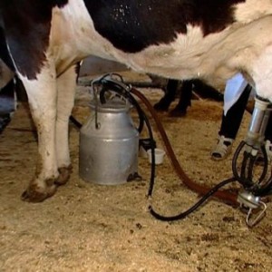 c85bd27b3bbef22d3a0d7fa6caa331f9