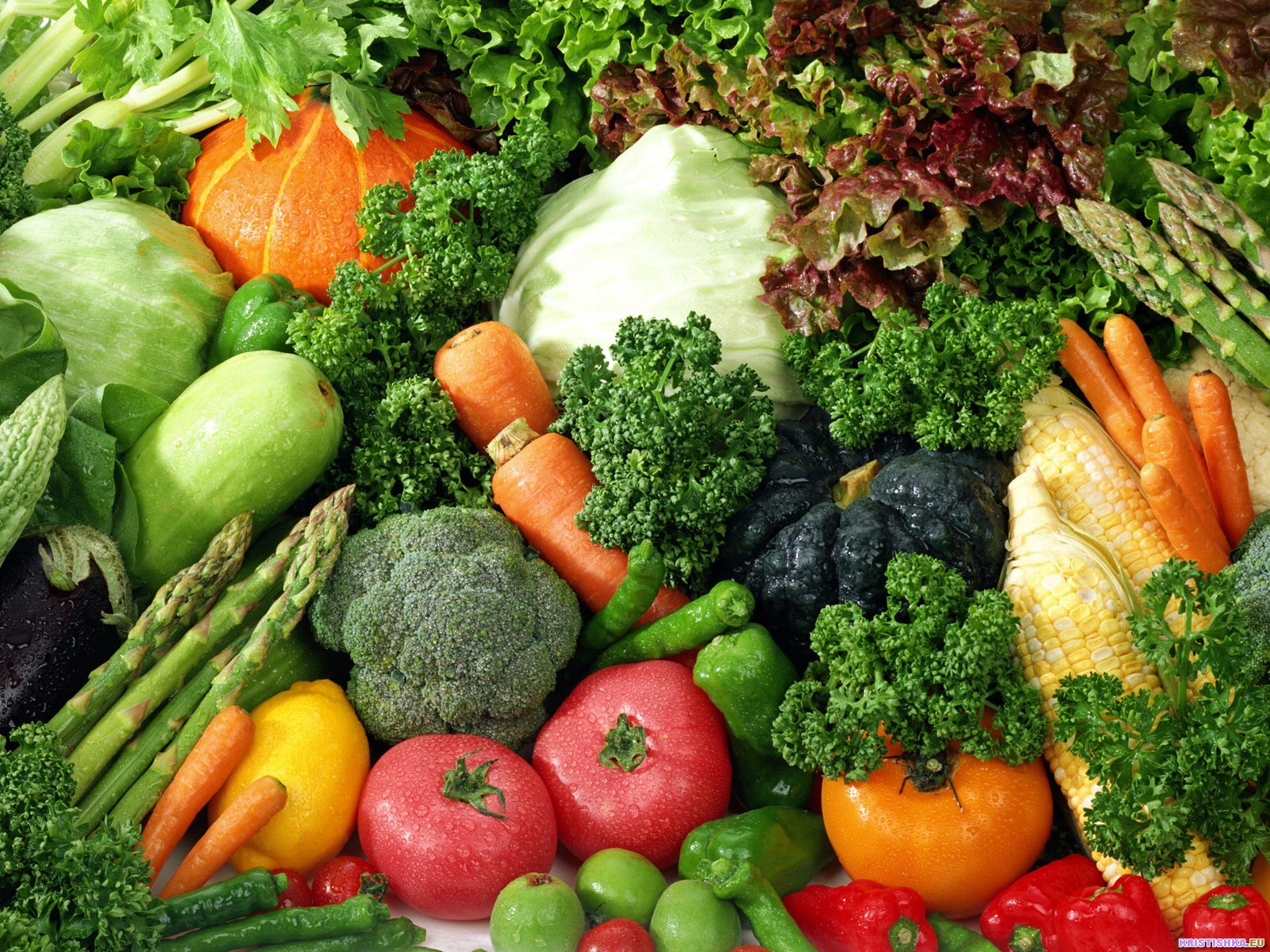 Ищем поставщиков овощной продукции