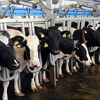 21a80d40-b16f-42a4-a07b-cbd646145af6