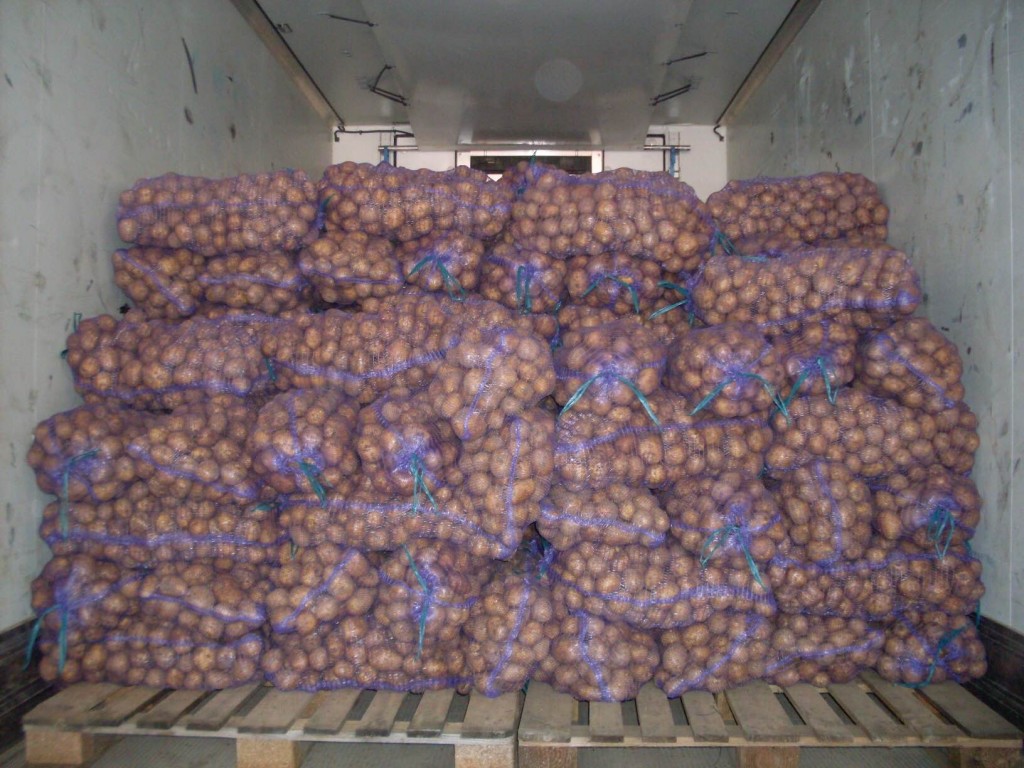 Картофель купить в новосибирске. Склад картошки. Перевозка картофеля. Картофель в мешках склад. Сетки картофеля на складе.