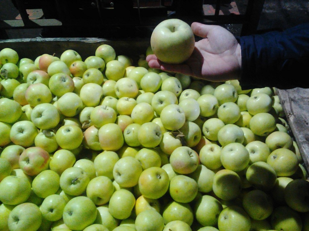 Куплю яблоки пермь