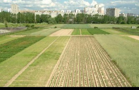 Политика. Тимирязевку отстояли, земли вернули!