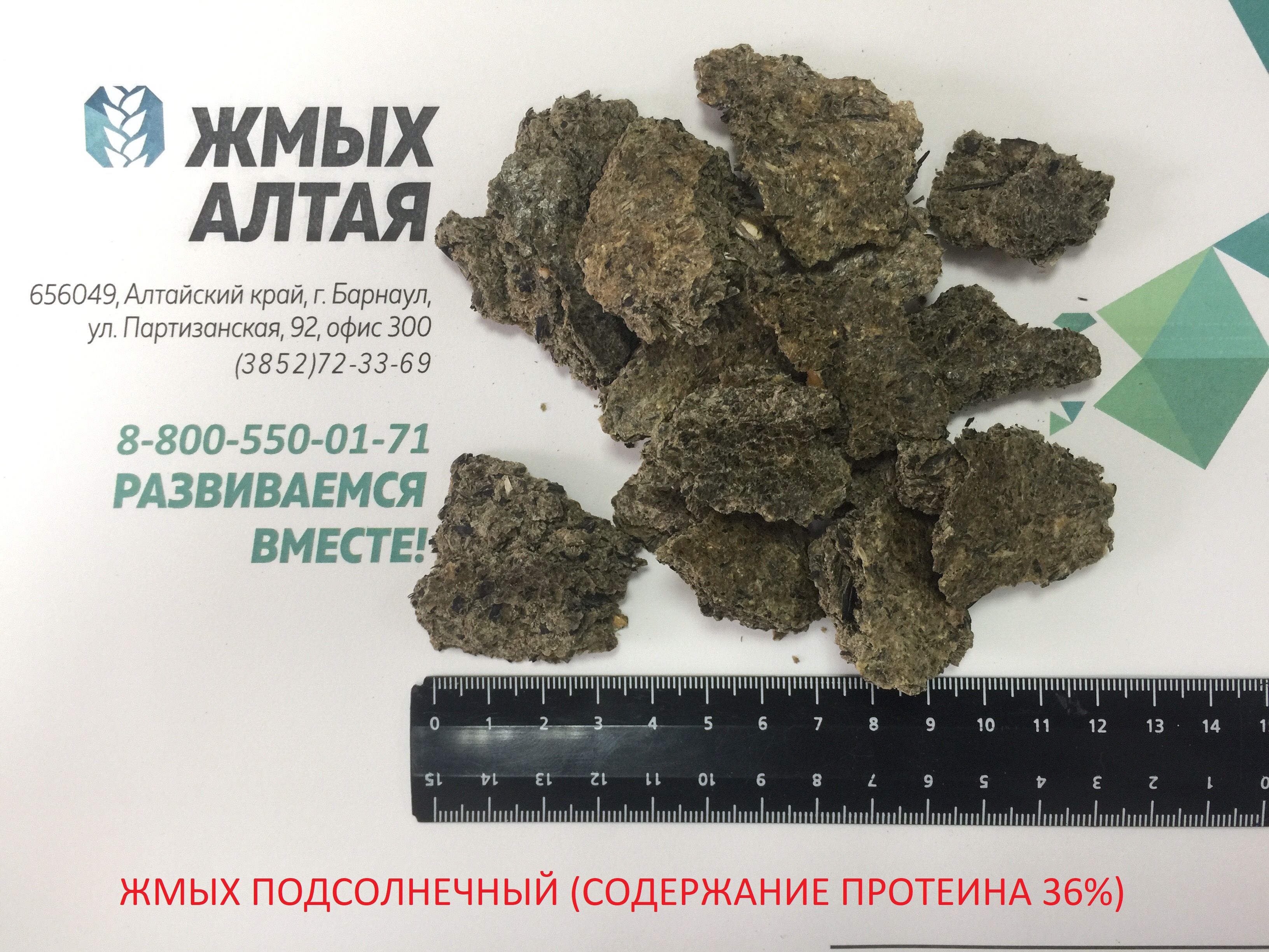Жмых подсолнечный от 8200 р/т
