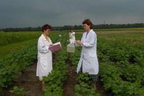 Комментарий. Лед тронулся — первая заявка на НИР в сфере органического сельского хозяйства.