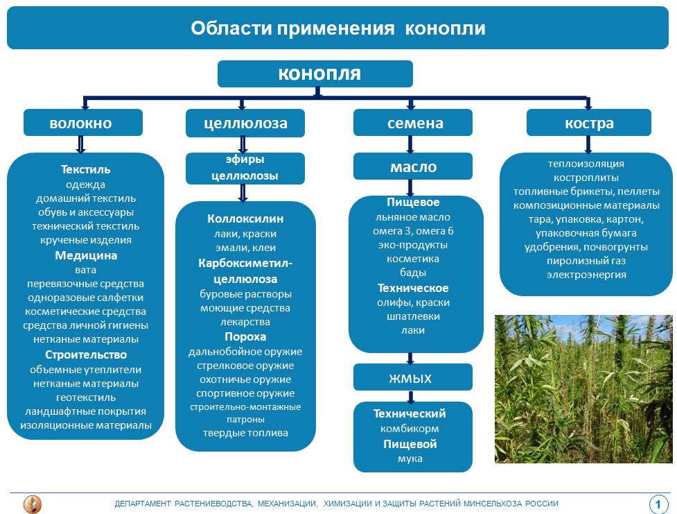Завод по переработке конопли в россии выращивание конопли статья украина