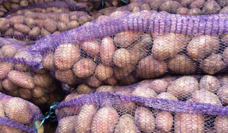 Картошка майами
