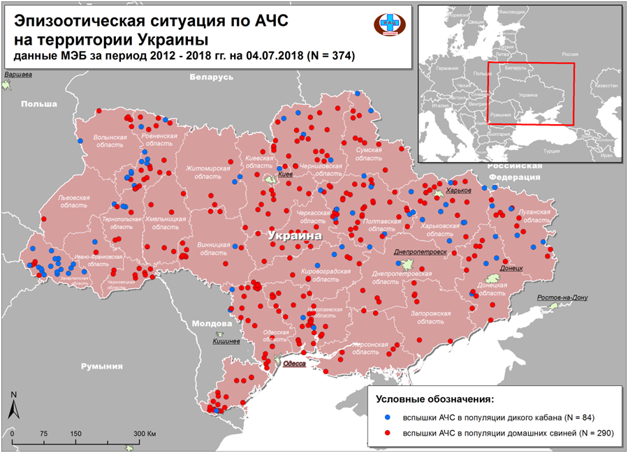 Новый рисунок (1)