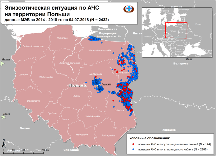 Новый рисунок (3)