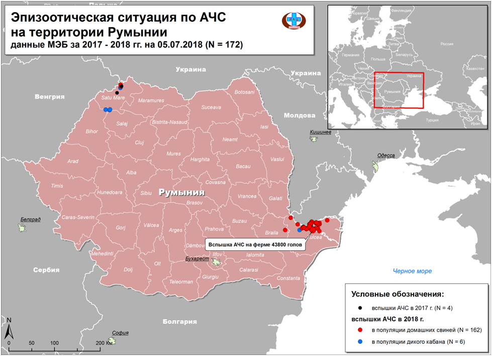 Новый рисунок