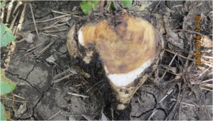 17. контроль1