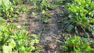 19.контроль 2