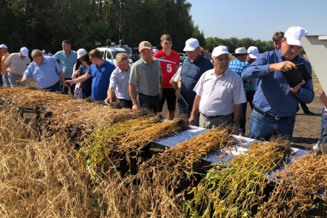 «Щелково Агрохим» раскрывает секреты прибыльного соеводства.
