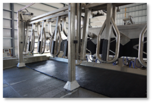 Новый рисунок (1)