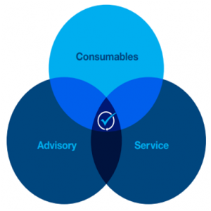 Новый рисунок (2)