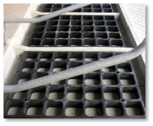 Новый рисунок (2)