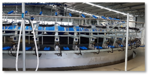 Новый рисунок