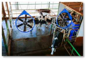 Новый рисунок (3)