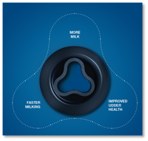 Новый рисунок (5)