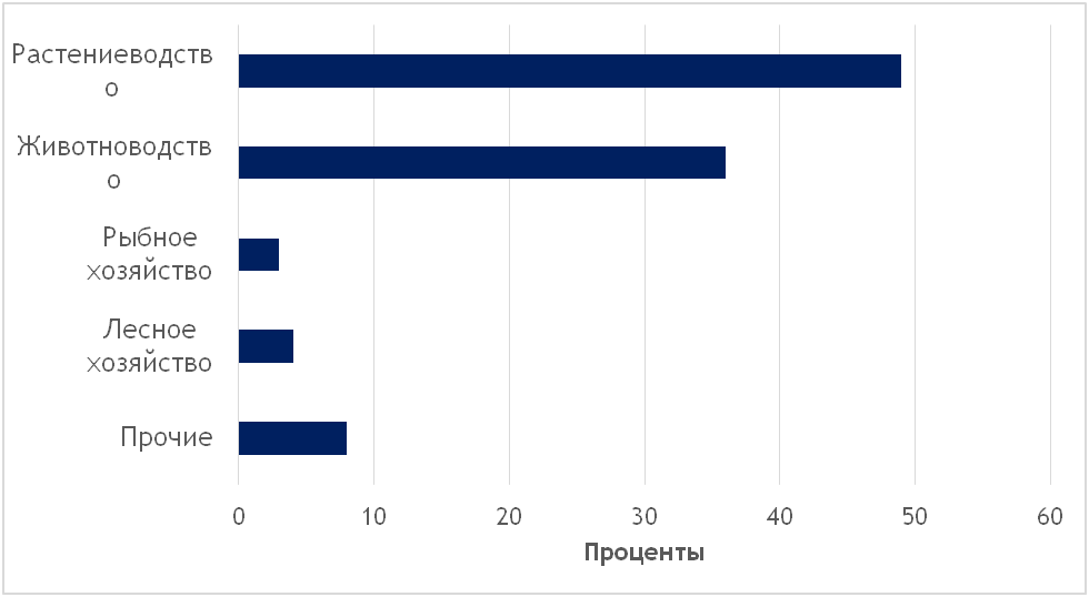 Новый рисунок