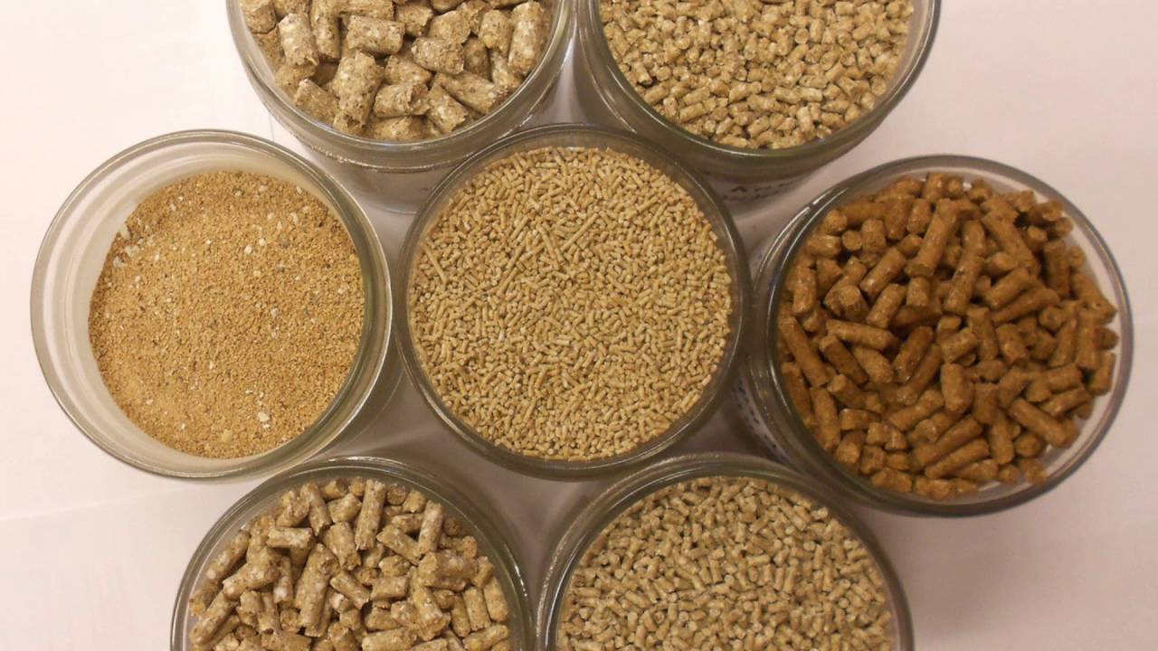 Кормовая продукция в ассортименте оптом от 20 тонн