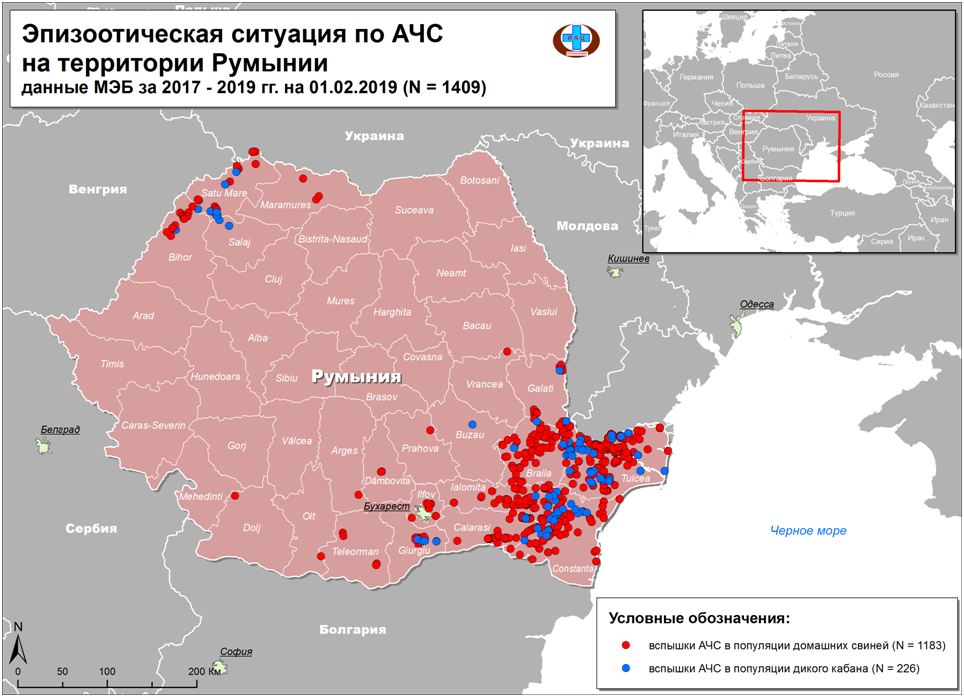 Новый рисунок (1)