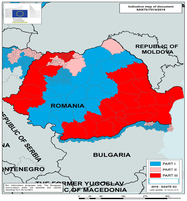 Новый рисунок