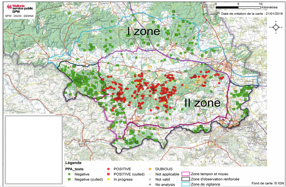 Новый рисунок