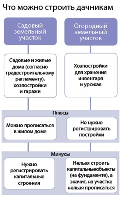 Новый рисунок