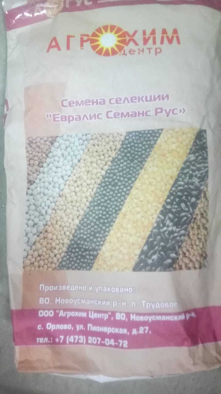 Евралис Гавана — СЕМЕНА ПОДСОЛНЕЧНИКА — Распродажа остатков — осталось 500  единиц | Крестьянские ведомости