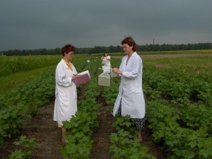 ВНИИ БЗР ВР