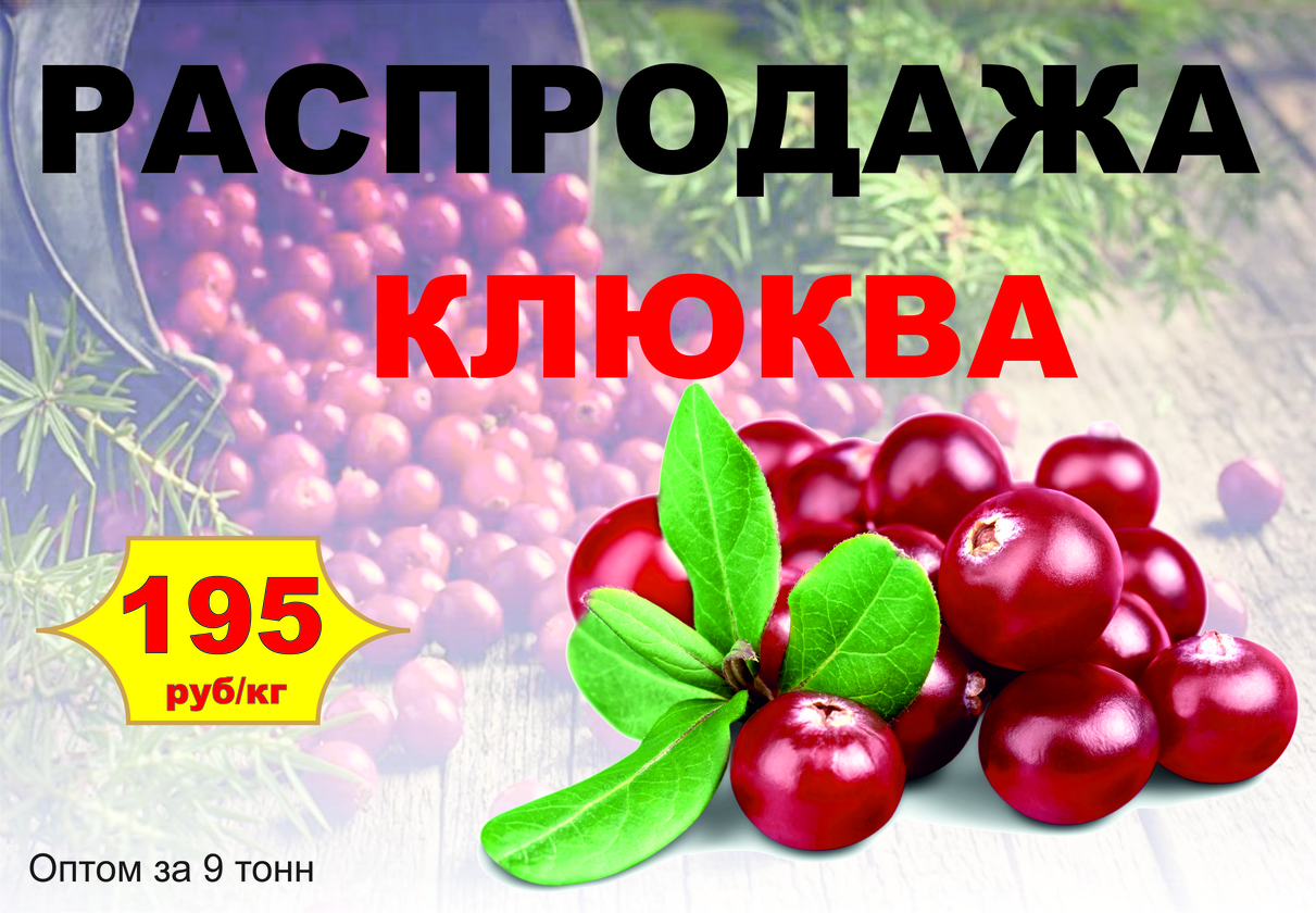 Продаю оптом клюкву замороженную