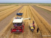 137215536_15276019945551n