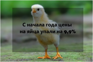 Новый рисунок (1)