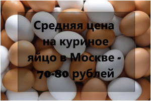 Новый рисунок