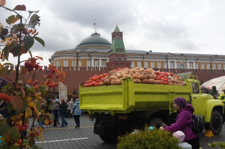 Комментарий. «Золотая осень -2019»: Кремлю дали понюхать сена.