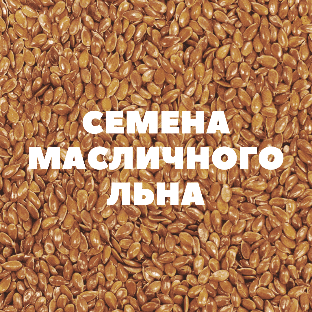 Семена масличного льна на посев