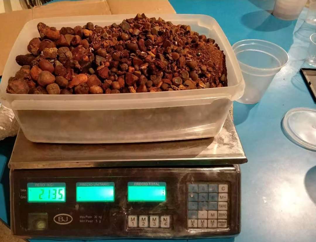 желчный камень Крс