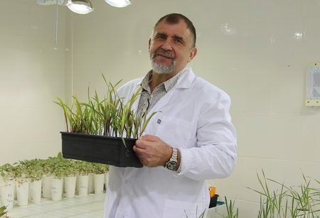 Резистентность сорных растений