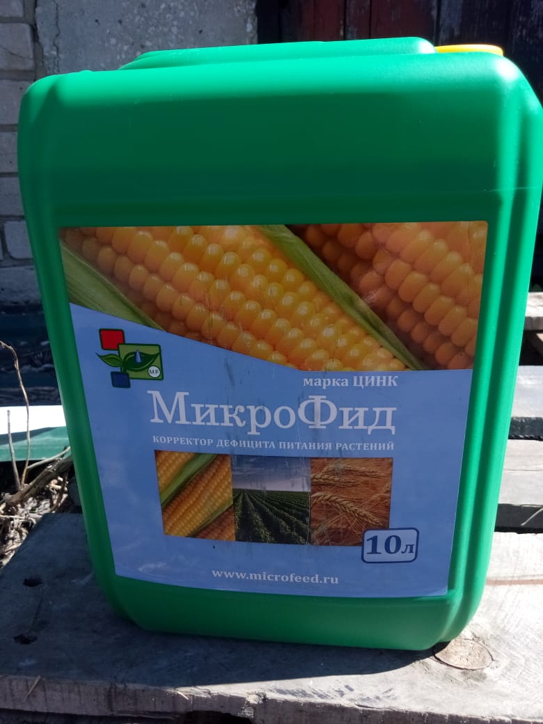 «МикроФид Цинк» — микроудобрение необходимое для кукурузы и зерновых