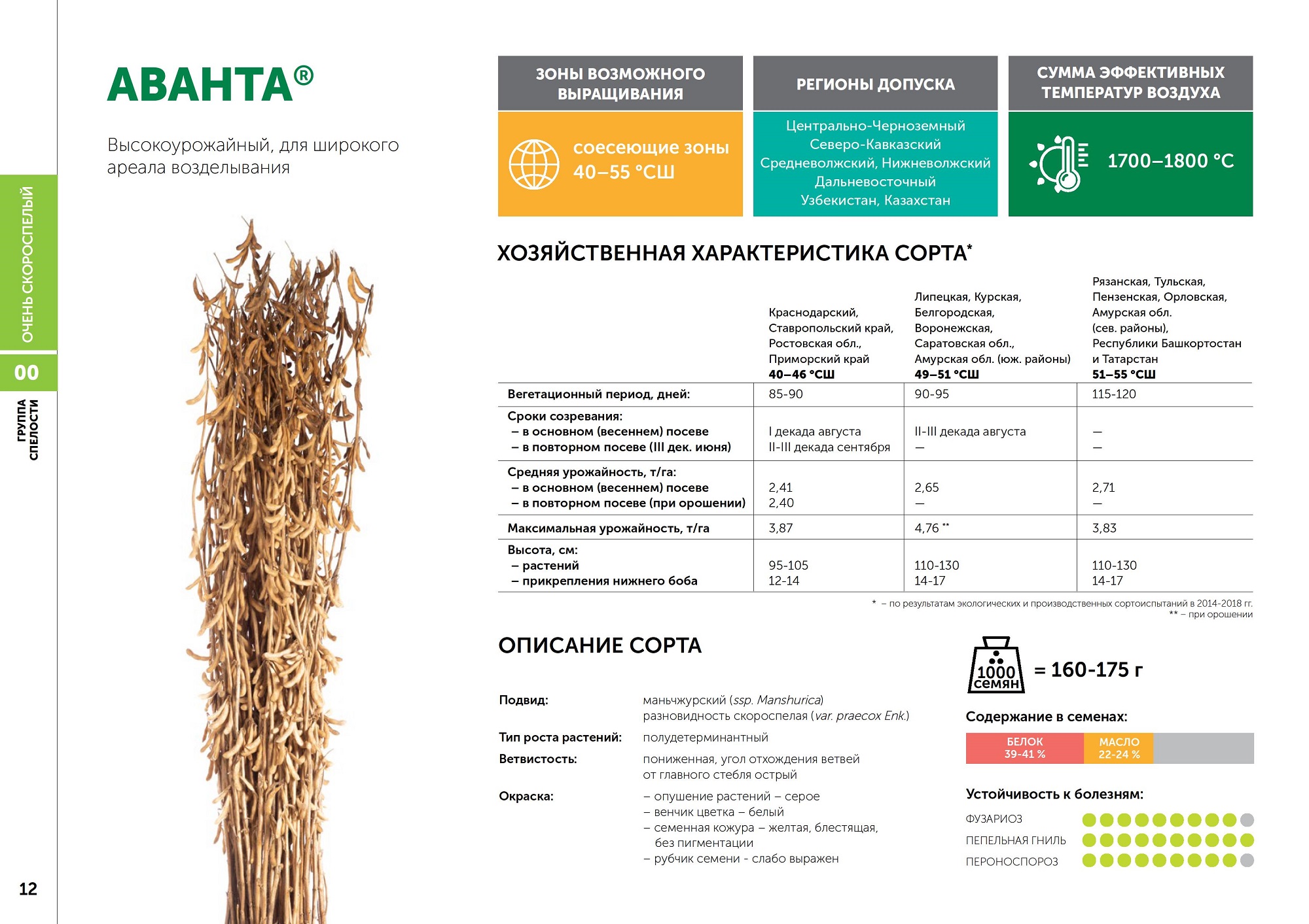 Cемена сои: сорт АВАНТА селекции Компании «Соевый комплекс»