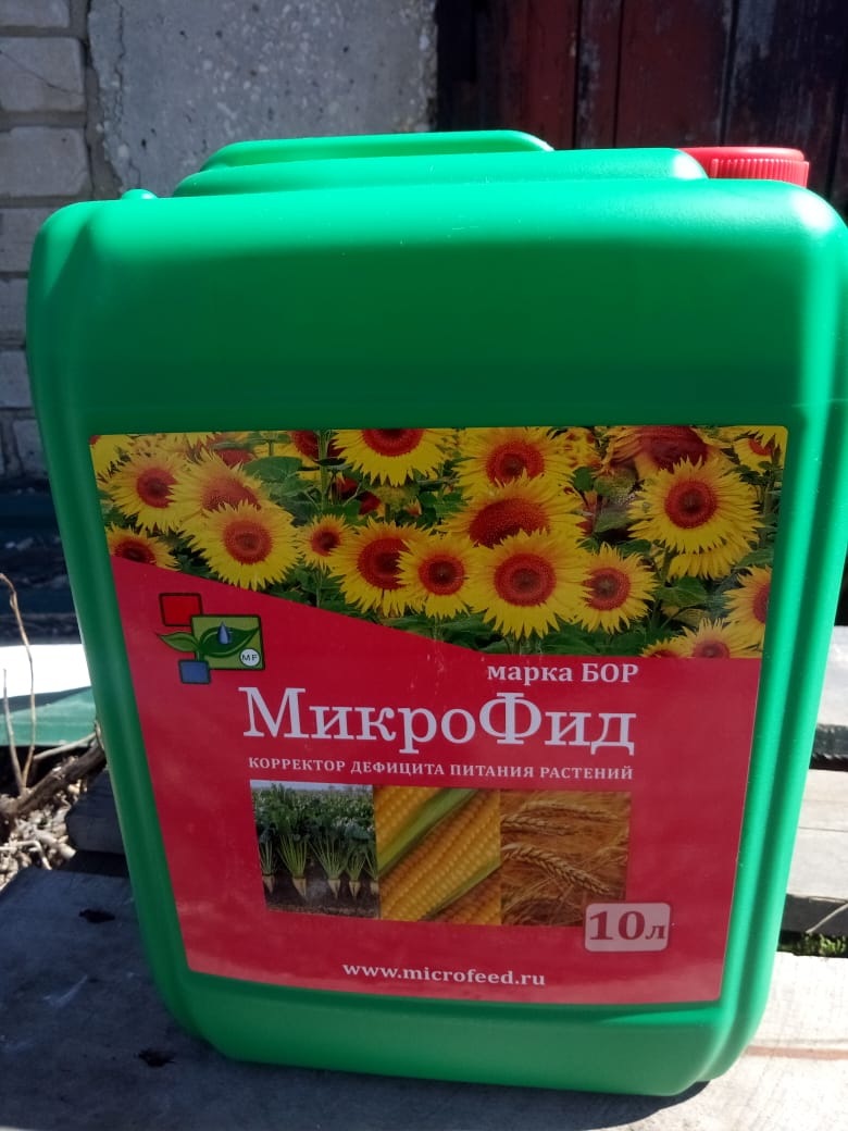 «МикроФид Бор» — высокоэффективный питательный комплекс для подсолнечника, зернобобовых, свёклы