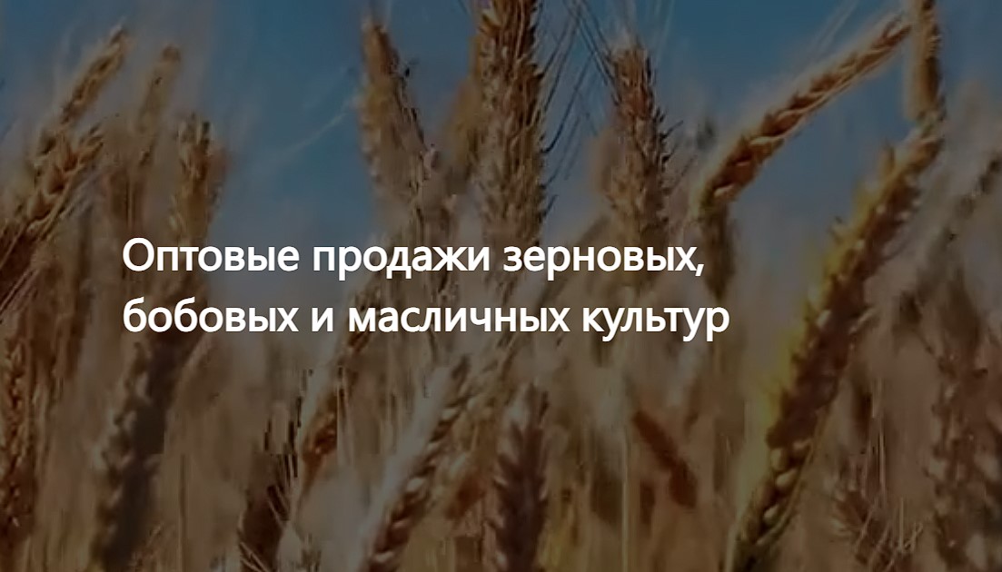 ООО Агропром — оптовая реализация продуктов питания экспорт