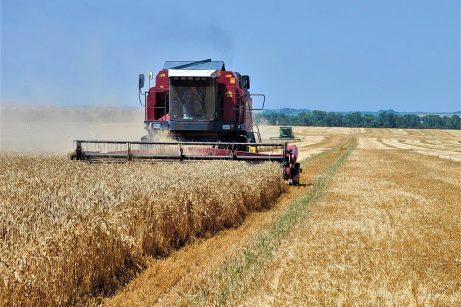 «Август-Агро» завершил 2025 год с ростом производственных показателей на фоне снижения рентабельности агросектора