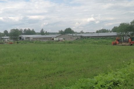 Продаю действующий агробизнес