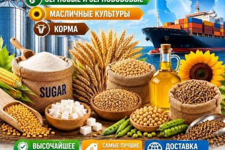 Сахар, зерновые и зернобобовые, масличные культуры, корма