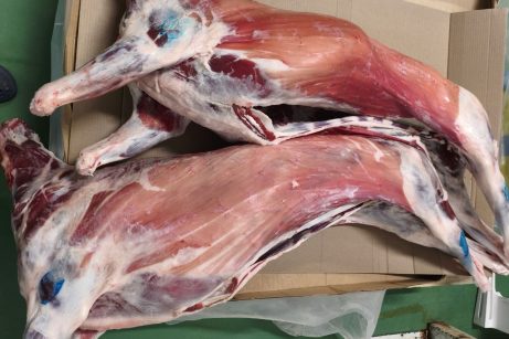 Фермерское мясо козы в тушах оптом по цене производителя