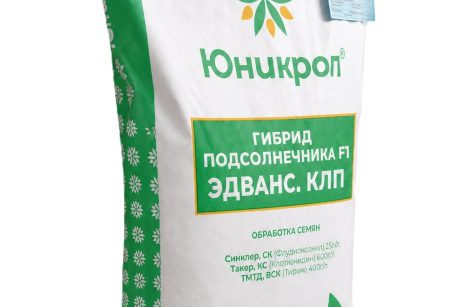 Семена подсолнечника — гибрид Эдванс, КЛП (среднеранний)