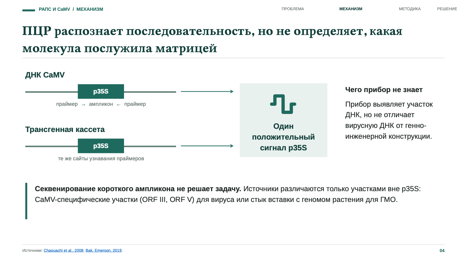 ПЦР распознает последовательность, но не определяет, какая молекула послужила матрицей